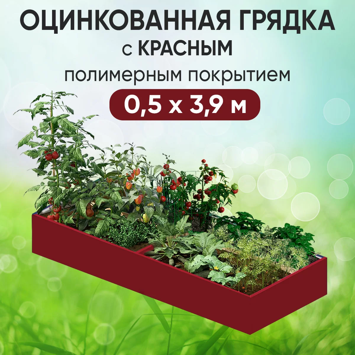 Грядка красная (0,5 х 3,9)